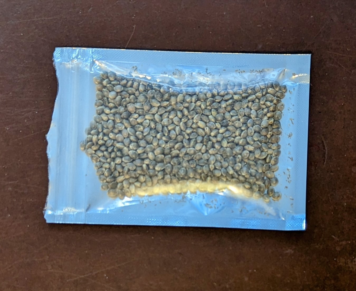cannabis seeds