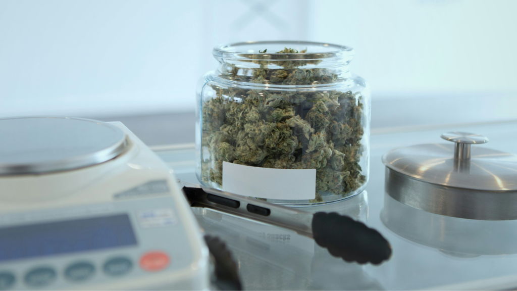 Cannabis for Pain