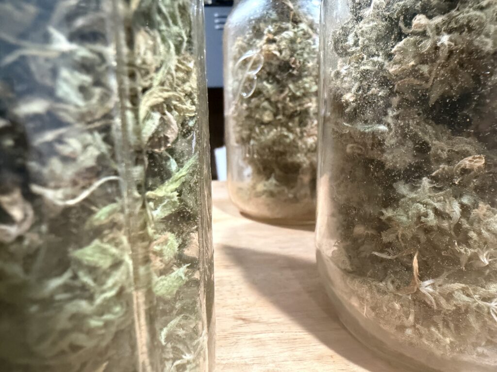 How to cure your flower